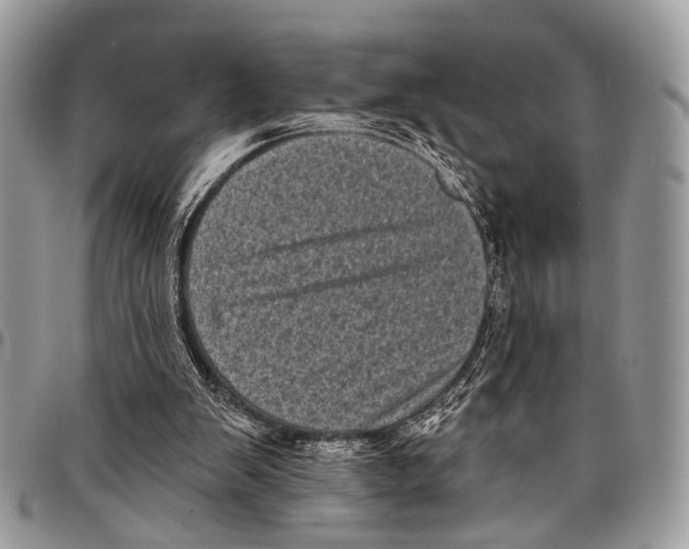 X0000097790103200803281732