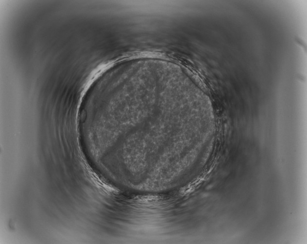 X0000097790104200803281732
