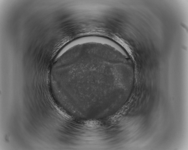 X0000097790105200803281732