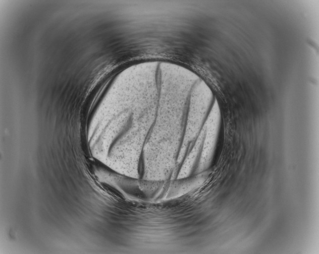 X0000097790108200803281732