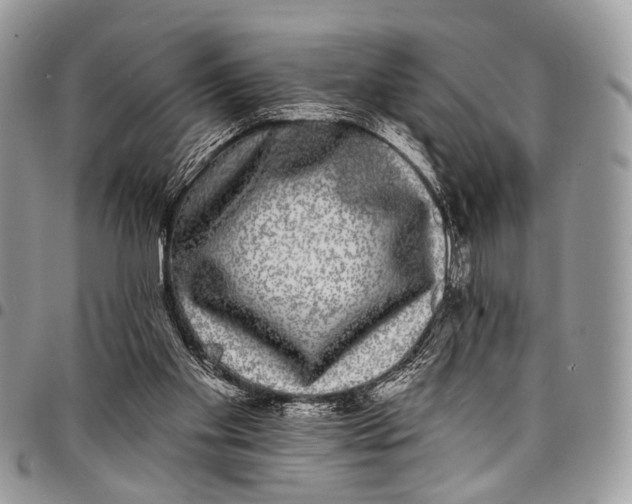 X0000097790109200803281732
