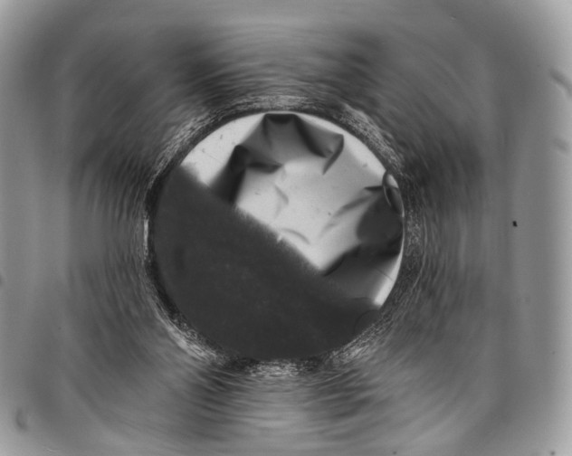X0000097790110200803281732