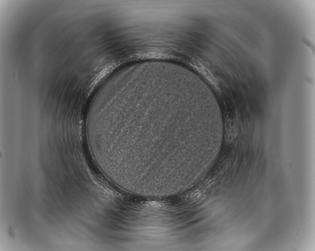 X0000097790111200803281732