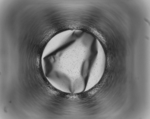 X0000097790113200803281732