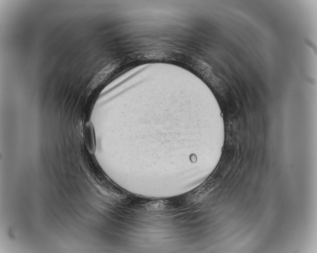 X0000097790116200803281732