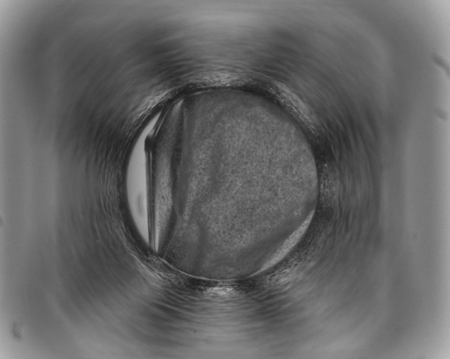X0000097790119200803281731