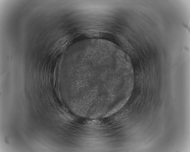 X0000097790125200803281731