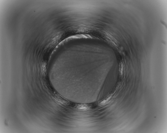 X0000097790127200803281731