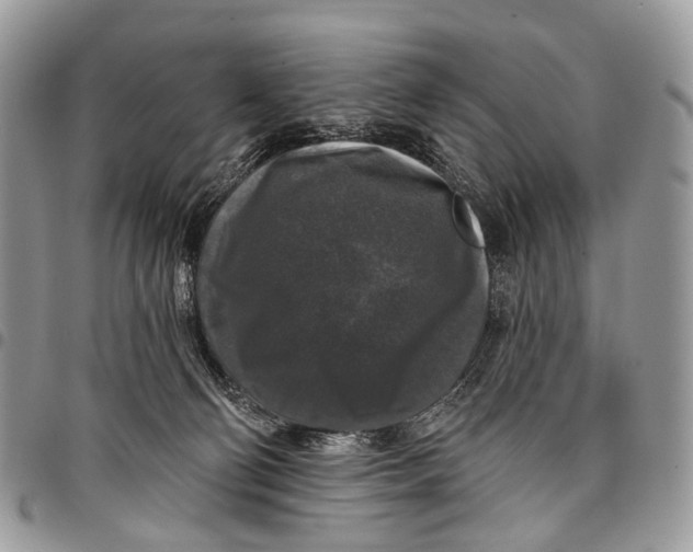 X0000097790130200803281731