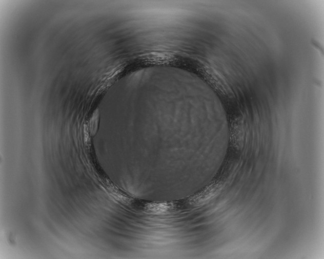 X0000097790131200803281731