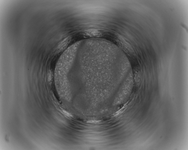 X0000097790132200803281731