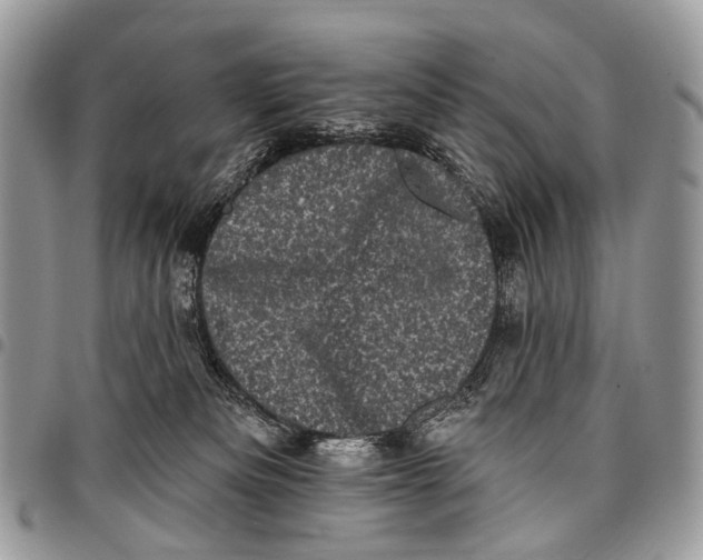 X0000097790133200803281731
