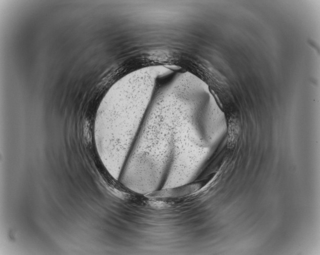 X0000097790136200803281731