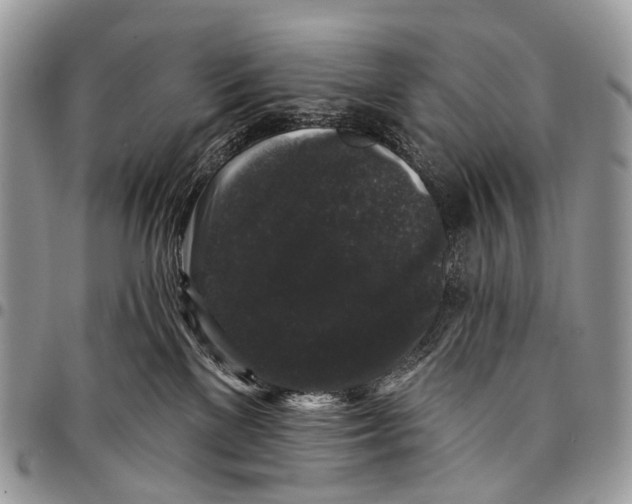 X0000097790137200803281731