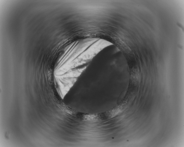X0000097790139200803281731