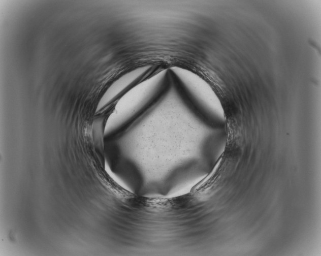 X0000097790141200803281731