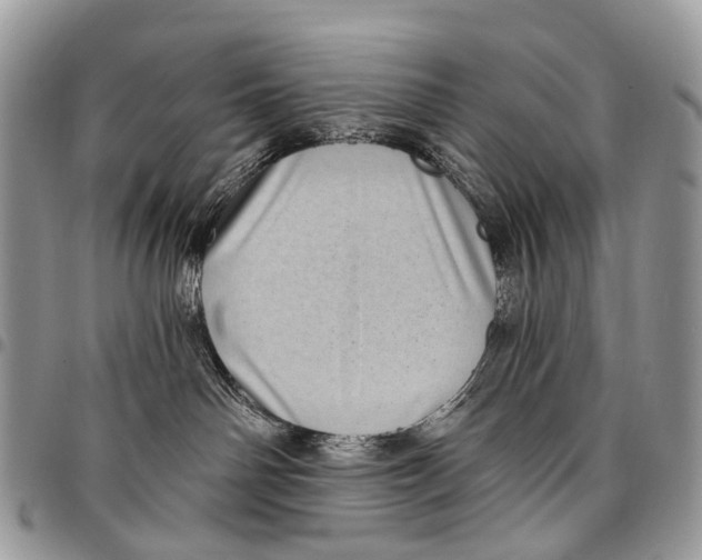 X0000097790142200803281731