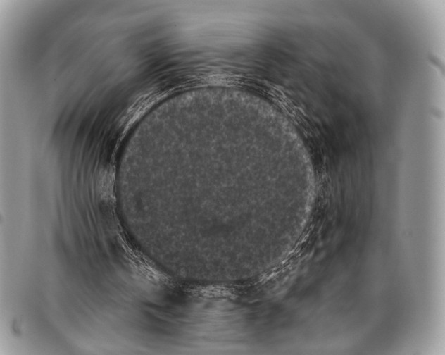 X0000097790146200803281730