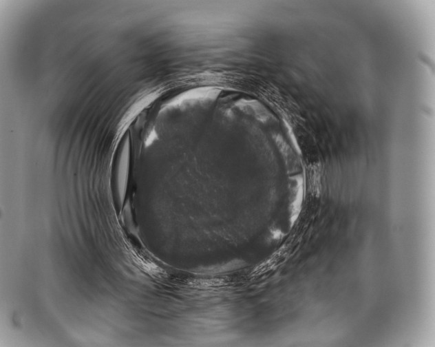 X0000097790147200803281730