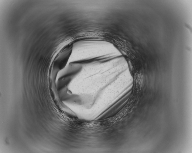 X0000097790148200803281730