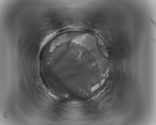 X0000097790149200803281730