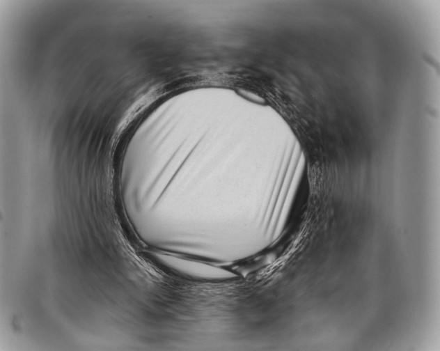 X0000097790150200803281731