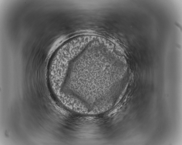 X0000097790151200803281731