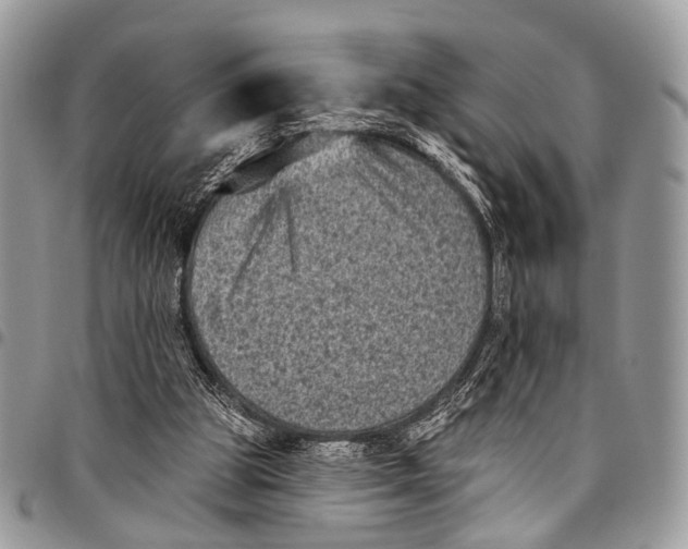 X0000097790153200803281731