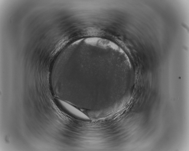 X0000097790154200803281731