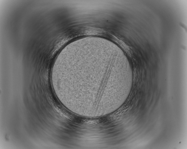 X0000097790155200803281731