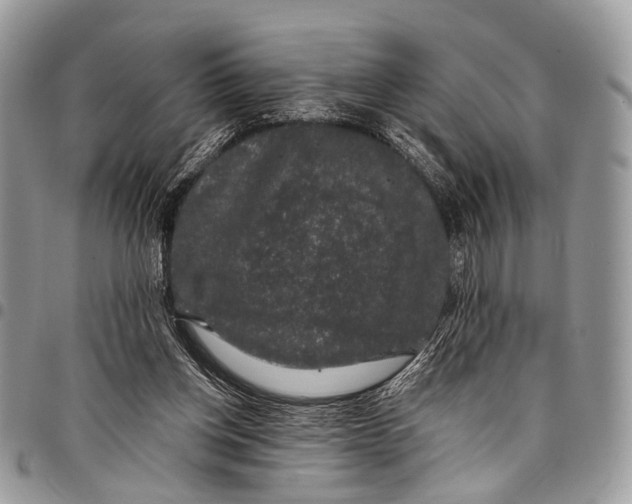 X0000097790158200803281731