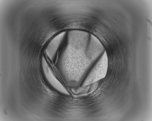 X0000097790160200803281731