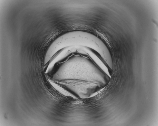 X0000097790162200803281731