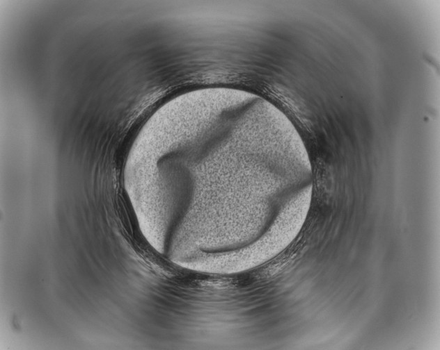 X0000097790164200803281731