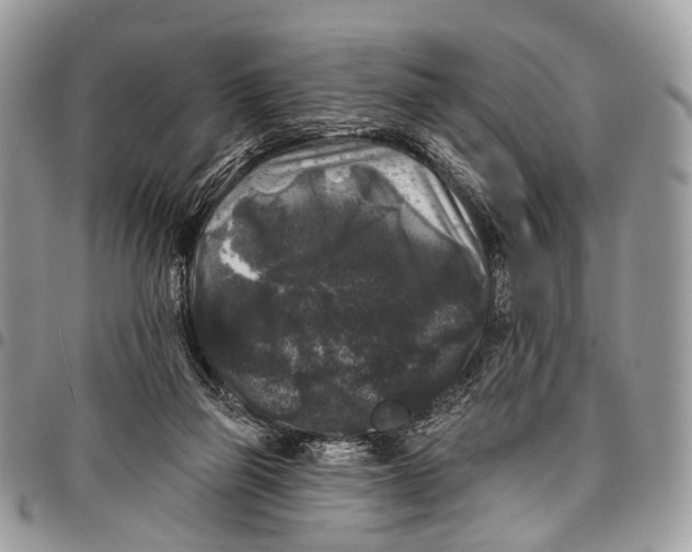 X0000097790165200803281731