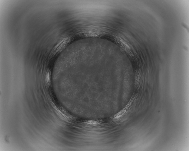 X0000097790166200803281731