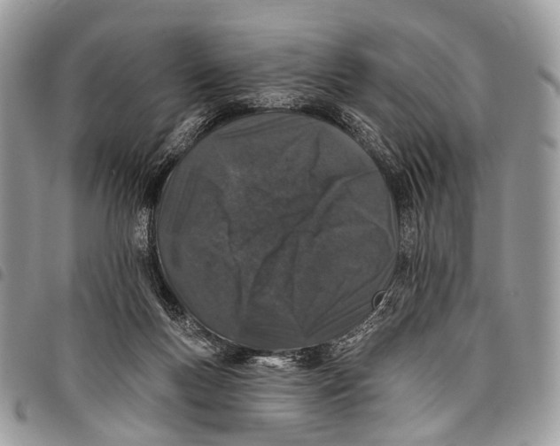 X0000097790167200803281731