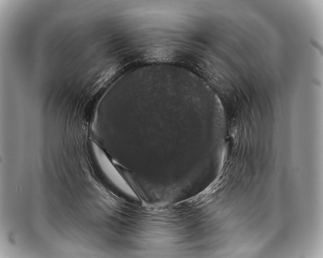 X0000097790168200803281731