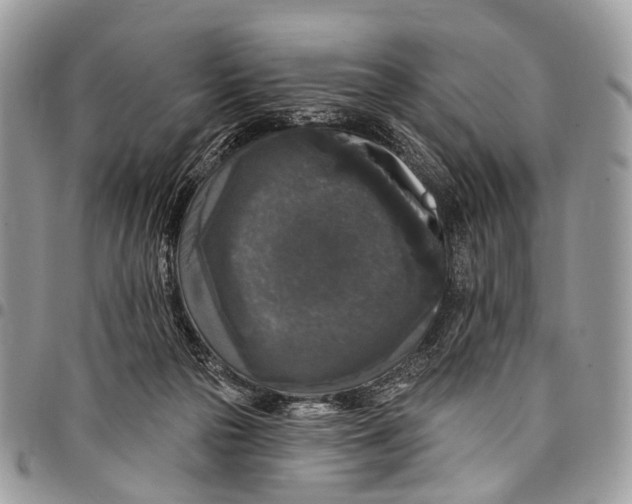 X0000097790169200803281731