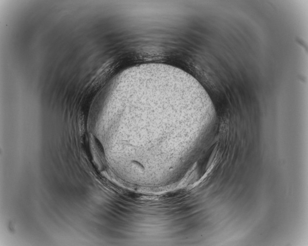 X0000097790170200803281731