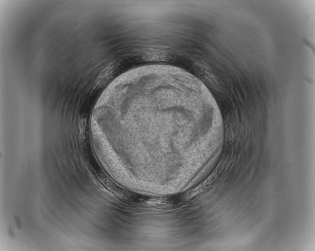 X0000097790171200803281731