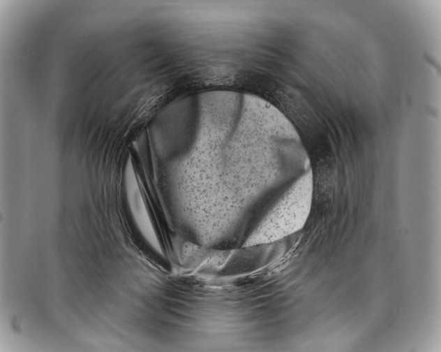 X0000097790172200803281731
