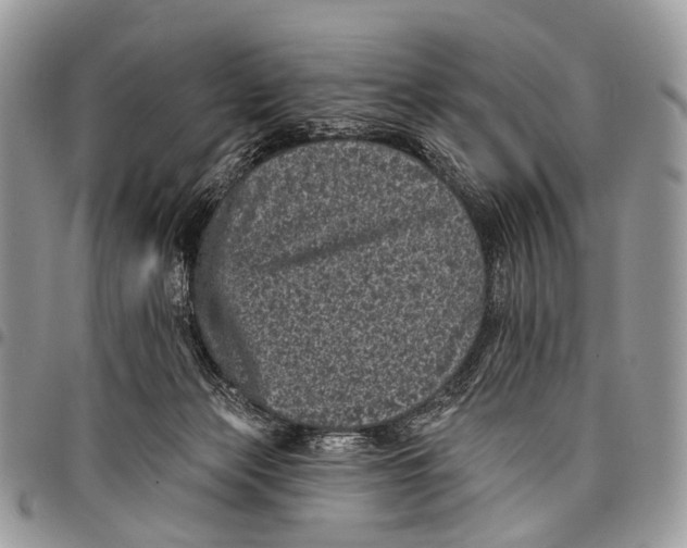 X0000097790173200803281731