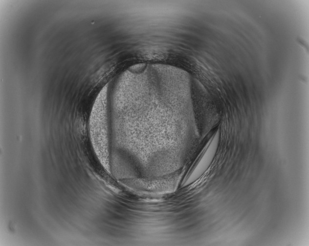 X0000097790176200803281731