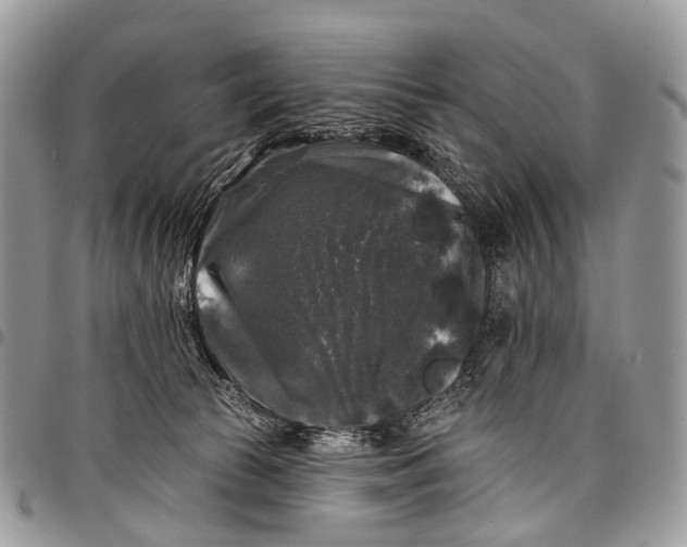 X0000097790177200803281731