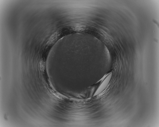 X0000097790180200803281731