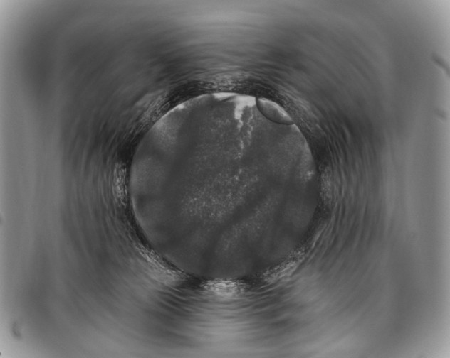 X0000097790181200803281731