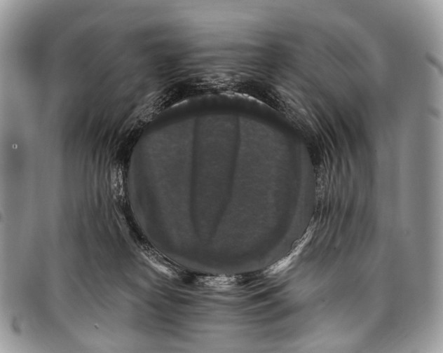 X0000097790182200803281731