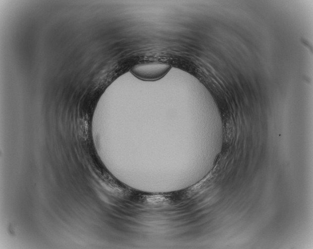 X0000097790183200803281731