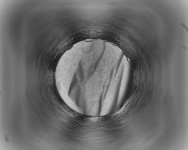 X0000097790184200803281731